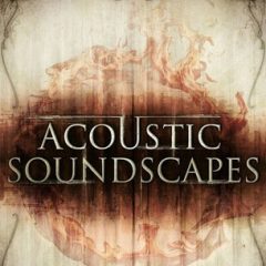 دانلود بانک صدای Big Fish Audio Acoustic Soundscapes KONTAKT