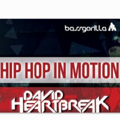 دانلود آموزش Bassgorilla Hip Hop In Motion With David Heartbreak TUTORiAL
