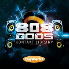 دانلود وی اس تی باس BigWerks 808 GODS KONTAKT