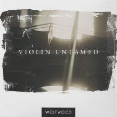 دانلود وی اس تی ویولن Westwood Instruments Violin Untamed KONTAKT