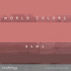 دانلود وی اس تی Evolution Series World Colors Bawu v1.0 KONTAKT