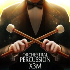 دانلود وی اس تی پرکاشن ارکسترال Strezov Sampling Orchestral Percussion X3M KONTAKT
