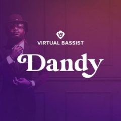 دانلود وی اس تی بیس UJAM Virtual Bassist DANDY v2.1.1-R2R