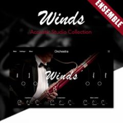 دانلود وی اس تی ساز های بادی چوبی Muze Woodwinds Ensemble KONTAKT