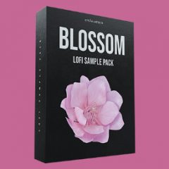 دانلود پکیج لوپ و سمپل هیپ هاپ لو فای Cymatics Blossom Lofi Sample Pack WAV