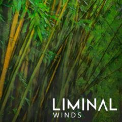 دانلود وی اس تی بادی چوبی Crocus Soundware LIMINAL Winds KONTAKT