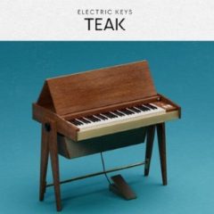 دانلود وی اس تی پیانو الکتریک Native Instruments Electric Keys Teak v1.0.0 KONTAKT