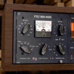 دانلود پلاگین Pulsar Modular P252 MDN Diode v1.0.12 R2R