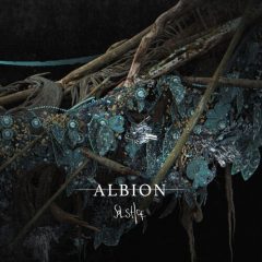 دانلود وی اس تی Spitfire Audio Albion Solstice v1.0.1 KONTAKT