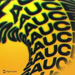 دانلود پکیج لوپ و سمپل هیپ هاپ Origin Sound Sauce WAV