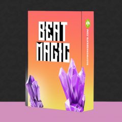 دانلود آموزش ساخت بیت هیپ هاپ Beat Magic Tutorials FL STUDIO ABLETON