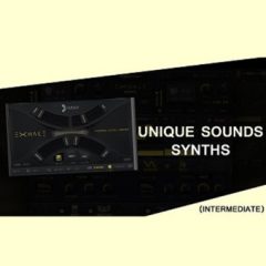 دانلود آموزش ساخت صدا Vandalism Tutorial – Unique Sounds: Synths