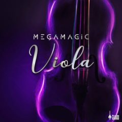 دانلود اکسپنشن افزودنی امنیسفر Pluginguru MegaMagic Viola for Omnisphere 2.4