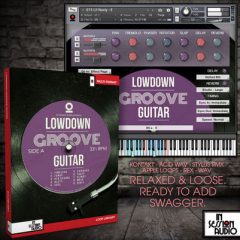 دانلود بانک صدای گیتار In Session Audio – Lowdown Groove Guitar and Direct kontakt
