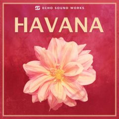 دانلود بانک صدای Echo Sound Works HAVANA WAV MiDi Massive Serum TUTORiAL