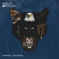 دانلود بانک صدای افکت صوتی صدای حیوانات Field and Foley Animal Sounds WAV