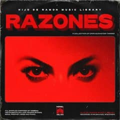 دانلود لوپ هیپ هاپ Hijo De Ramon Music Library Vol. 10 Ramones WAV