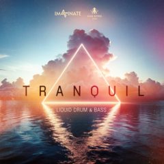 دانلود لوپ و سمپل Black Octopus Sound Tranquil Liquid DnB by Imaginate WAV