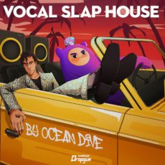 دانلود لوپ و سمپل Dropgun Samples Vocal Slap House by Ocean Dive WAV SERUM