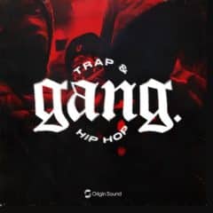 دانلود لوپ و سمپل Origin Sound GANG. TRAP and HIP HOP WAV