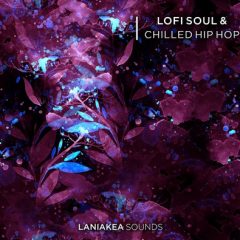 دانلود پکیج لوپ و سمپل Laniakea Sounds Lofi Soul and Chilled Hip Hop WAV
