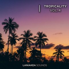 دانلود پکیج لوپ و سمپل Laniakea Sounds Tropicality 4 WAV
