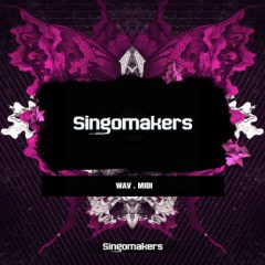 دانلود پکیج بزرگ لوپ و سمپل Singomakers Collection WAV MIDI