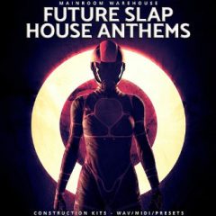 دانلود پکیج لوپ Mainroom Warehouse Future Slap House Anthems WAV MIDI Spire
