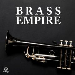 دانلود پکیج لوپ رپ ThaLoops Brass Empire ACiD WAV AiFF Ableton Project