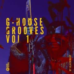 دانلود پکیج لوپ و سمپل Black Octopus Sound G-House Grooves Vol 1 WAV