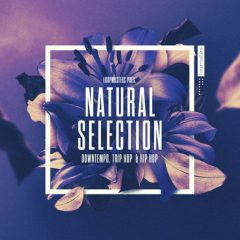 دانلود پکیج لوپ و سمپل Loopmasters Natural Selection WAV