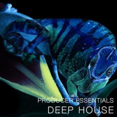 دانلود پکیج لوپ و سمپل SPF Samplers Producer Essentials Deep House WAV MiDi Presets