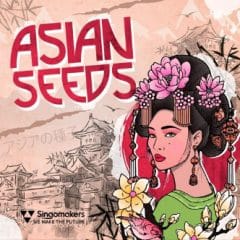دانلود پکیج لوپ و سمپل Singomakers Asian Seeds WAV