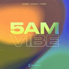 دانلود پکیج لوپ و سمپل هیپ هاپ Origin Sound 5AM Vibe WAV