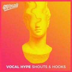 دانلود پکیج لوپ و سمپل وکال رپ ۹۱Vocals Vocal Hype Shouts and Hooks WAV