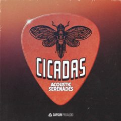 دانلود پکیج لوپ گیتار اسپانیایی Capsun ProAudio Cicadas Acoustic Serenades WAV