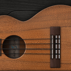 دانلود وی اس تی Ample Sound Ample Ethno Ukulele v3.6.0 WIN MAC-R2R